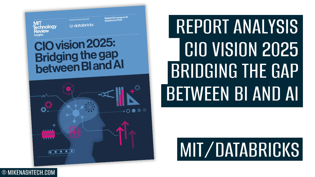 CIO vision 2025 report analysis